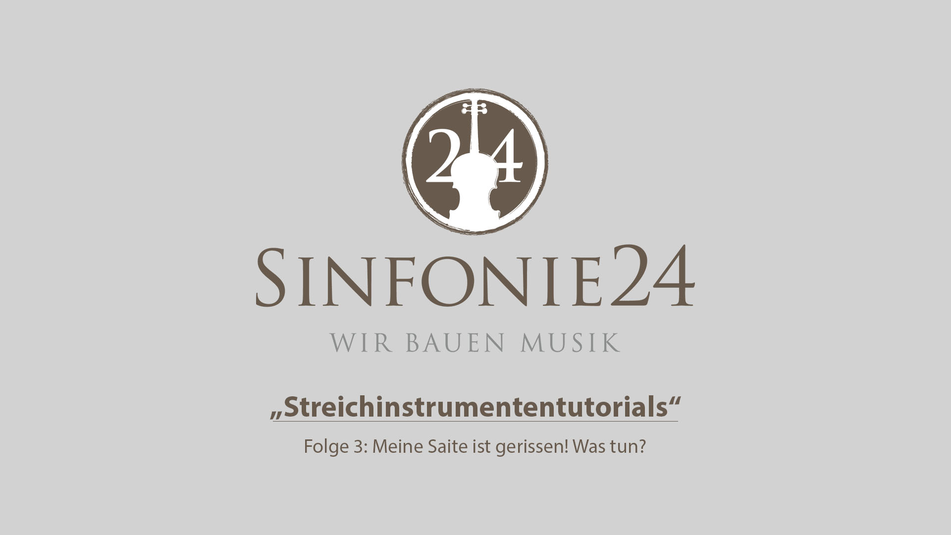 Koffer Sinfonie24 Geigenset in Bernstein Markensaiten Basic II inkl Bogen 